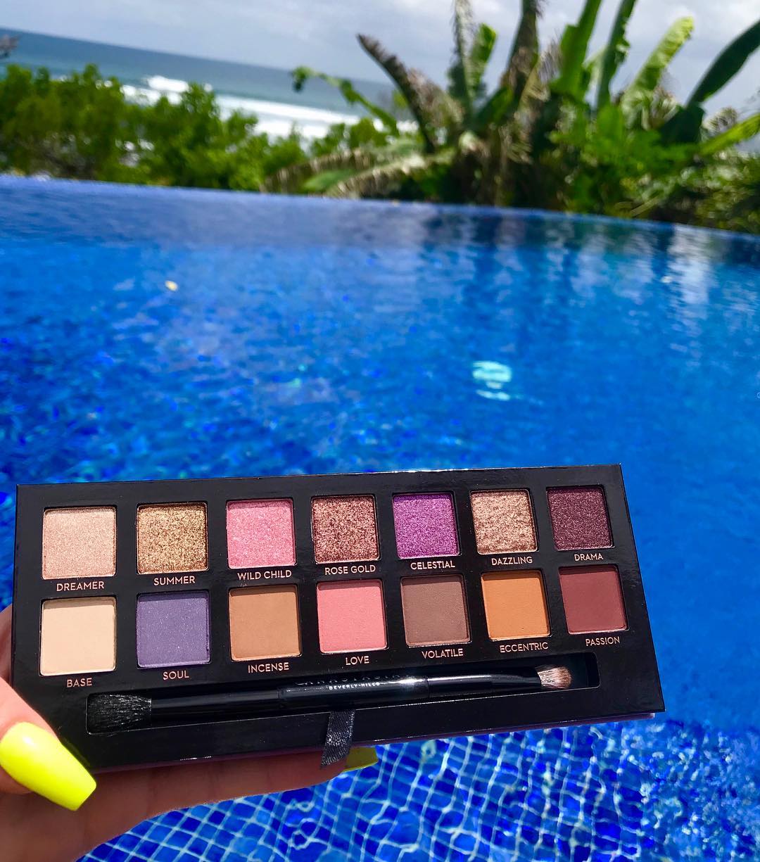 norvina-palette-anastasia-beverly-hills