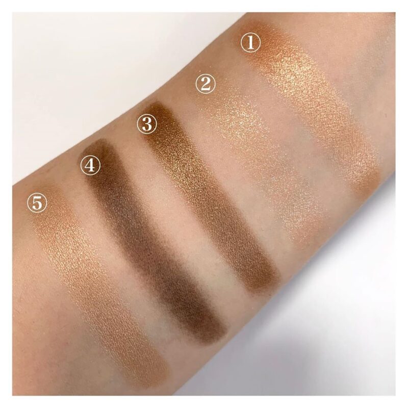 dior-5-couleurs-559-swatch