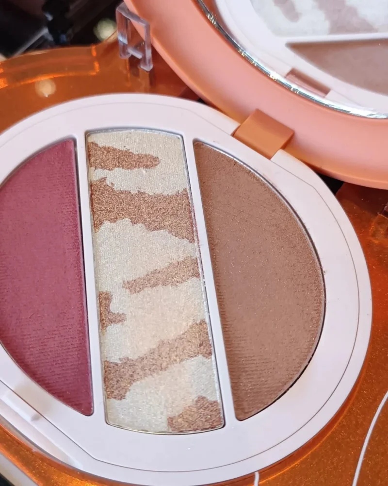 kiko-beauty-roar-Flawless-Look-Face-Palette-01
